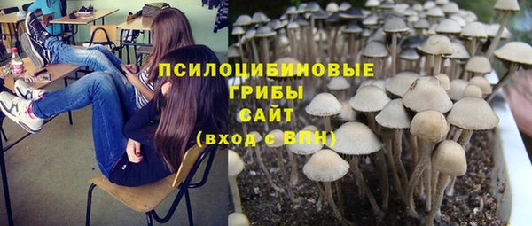 гашик Аркадак