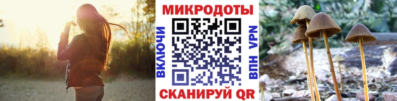 Галлюциногенные грибы Psilocybine cubensis  Новоуральск 